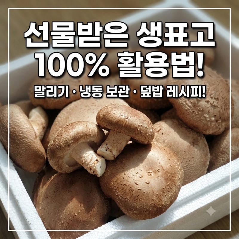 [표고버섯 요리 & 보관법] 선물 받은 생표고 버섯 알차게 먹기! 말리기, 냉동 보관, 표고버섯....