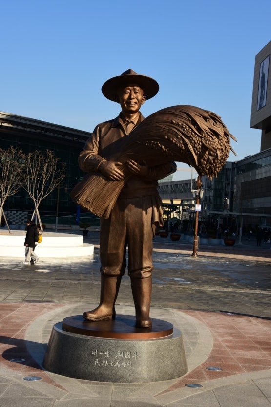 동대구역 광장 박정희동상 존치 대구시 승소
