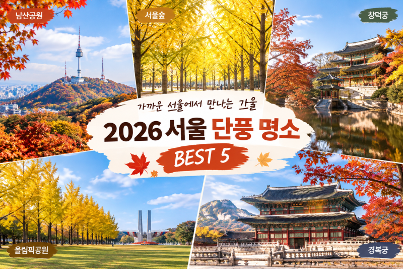 서울 가을 단풍 명소 BEST 5