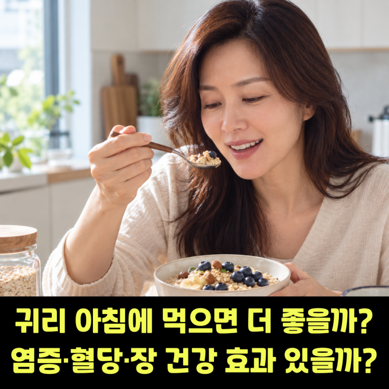 귀리 효능, 아침에 먹으면 좋은 이유는? 염증·혈당·장 건강