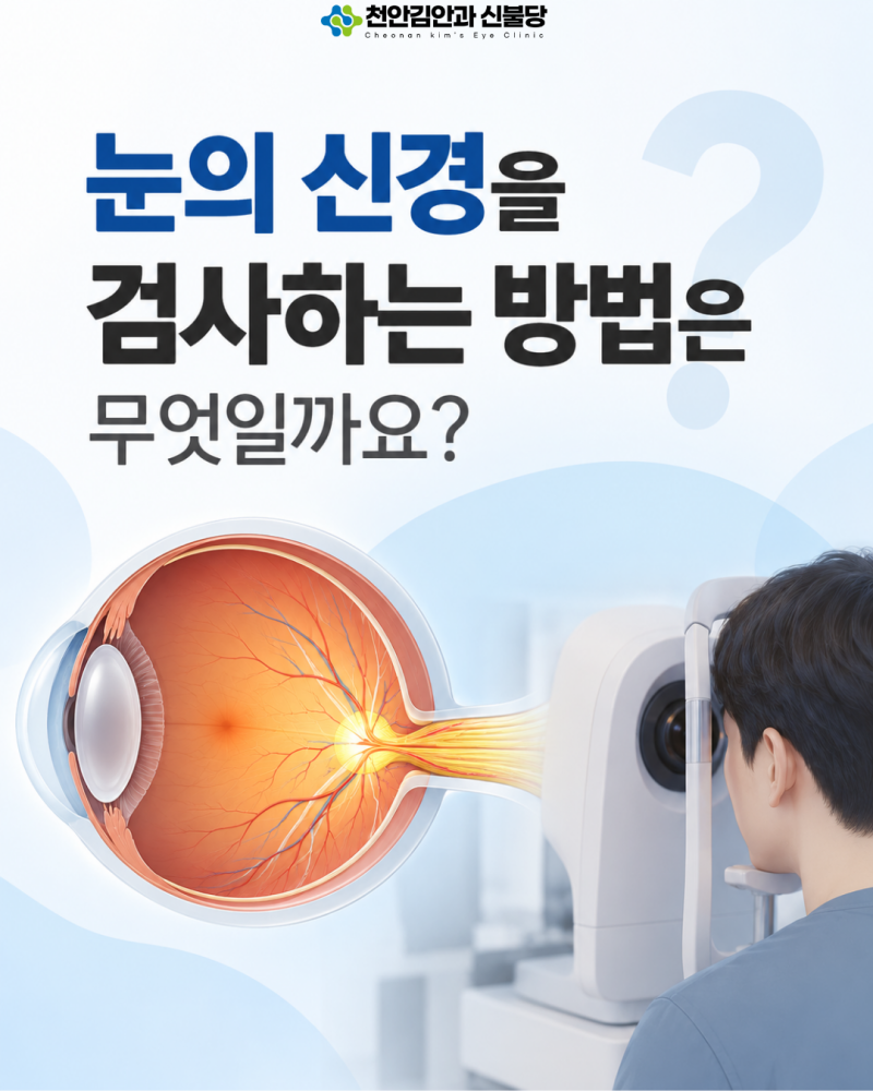 눈의 신경을 검사하는 방법은 무엇일까요?