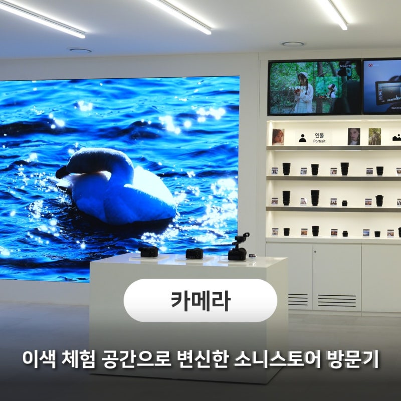 압구정 가볼만한곳, 이색 체험 공간으로 변신한 소니스토어 방문기