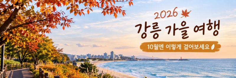강릉 가을 여행 2026｜10월 꼭 걸어봐야 할 월화거리부터 커피축제까지