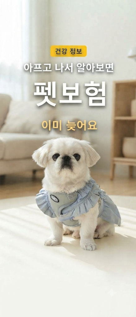 다들 강아지 절뚝일 때 병원부터 가는데, 보험은 그 전에 끝납니다