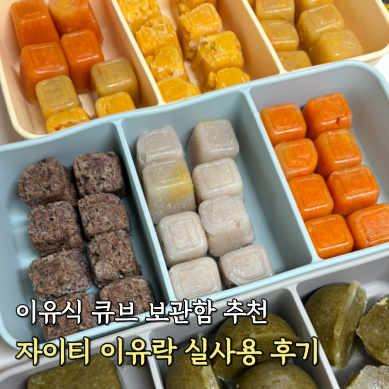 실리콘 이유식 큐브 보관함 추천 "자이티 이유락" 실사용 후기