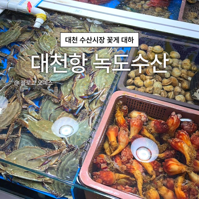 대천항 수산시장 대하 꽃게 가격 맛집 녹도수산 1kg씩 포장해왔어요