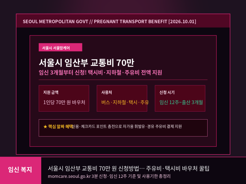 서울시 임산부 교통비 70만 원 신청방법! 주유비·택시비 바우처와 사용기한 꿀팁