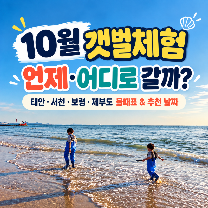 2026년 10월 갯벌체험 언제 갈까?｜태안·서천·무창포·제부도 물때표