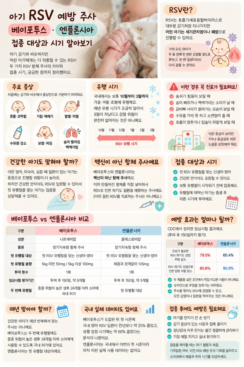 RSV 접종 시기와 대상 주사 종류 비교 총정리