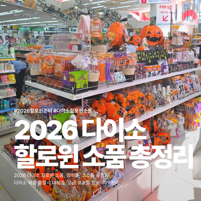 2026 다이소 할로윈 소품 총정리 | 품절 대체품, 합리적 가격 고퀄리티 코스튬