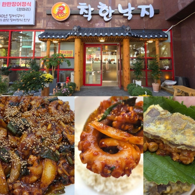 대전 만년동 착한낙지 둔산점 가족식사 추천 한밭수목원 맛집