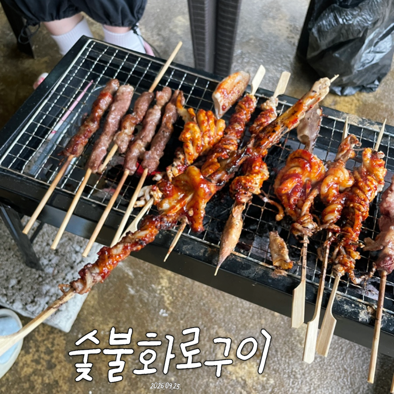 캠핑화로대 하나로 불멍부터 바베큐까지, 활용도 좋은 접이식 레저다모아 화롯대 추천