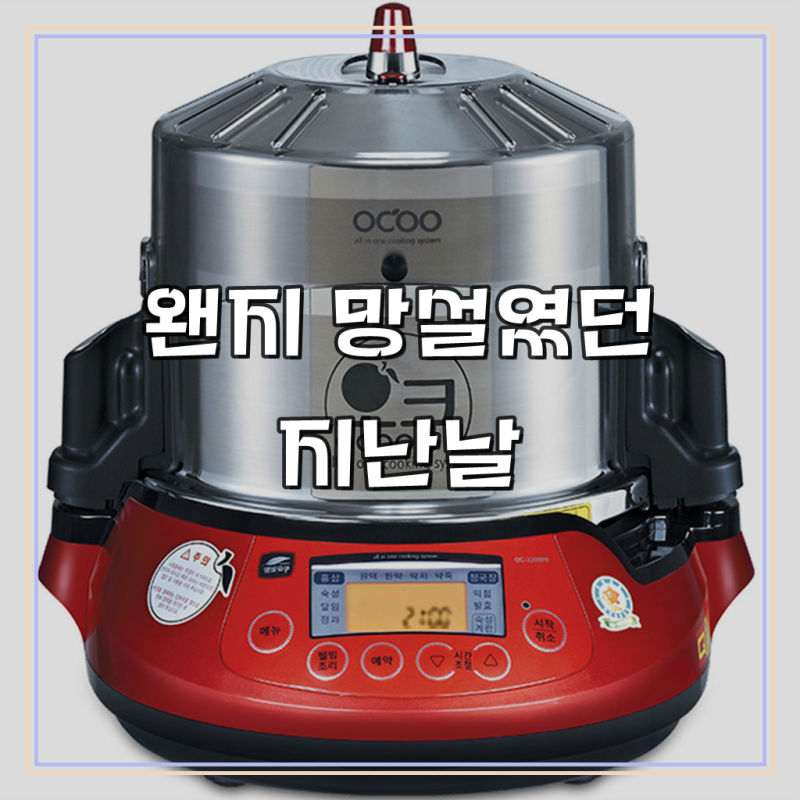 오쿠 중탕기 홍삼 제조기 약탕기 청국장 과일청 OC-2200PR