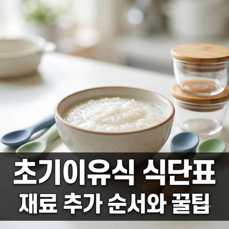 초기이유식 식단표 6개월 아기 쌀미음과 소고기 추가 순서 정리
