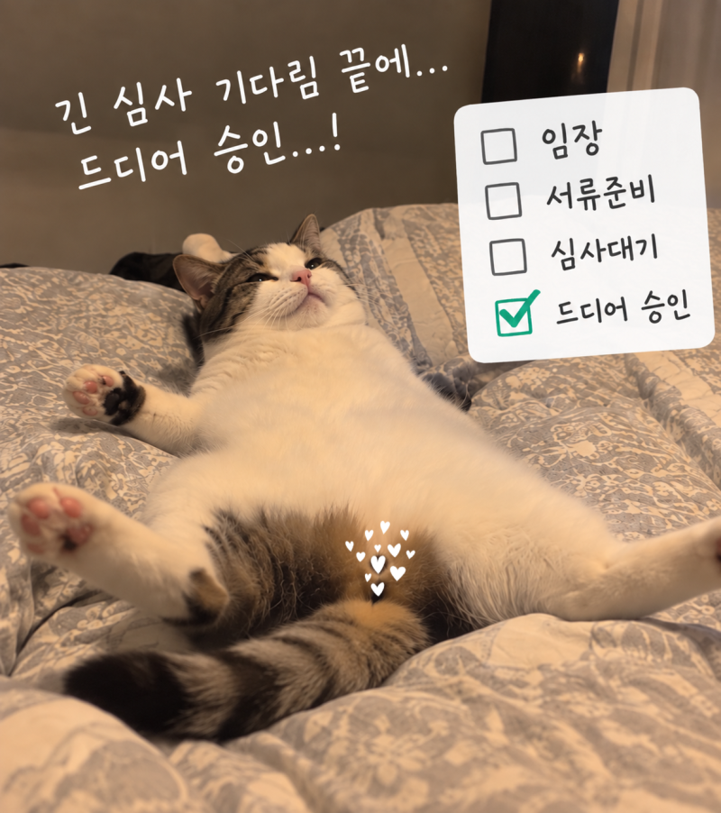 30대 미혼 내집마련_아낌e보금자리론 케이뱅크 대출승인 타임라인 (이직·재취업 후 한 달)