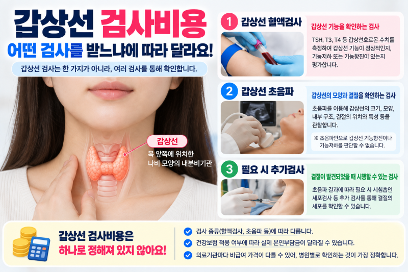 갑상선 검사비용 얼마일까? 혈액검사·초음파 비용과 검사방법 정리