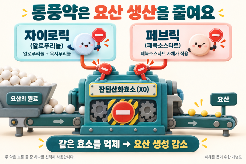 통풍, 아플 때만 약을 먹으면 될까요? 원인·증상·진단부터 통풍약 복용법까지