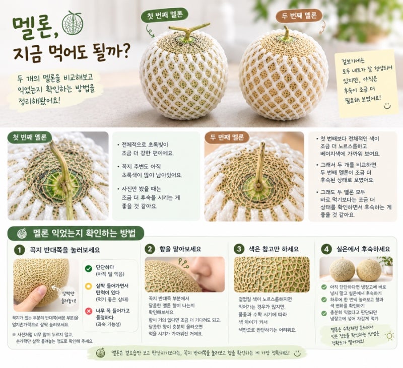 멜론 익었는지 확인하는 방법｜후숙하는 법과 먹기 좋은 시기