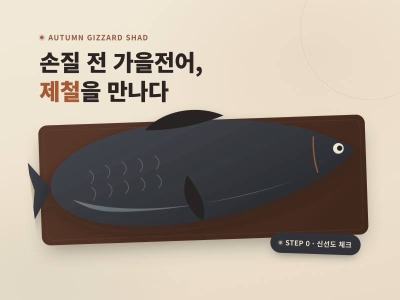 가을전어 제철 손질법·굽는법 집에서 완전정복하기