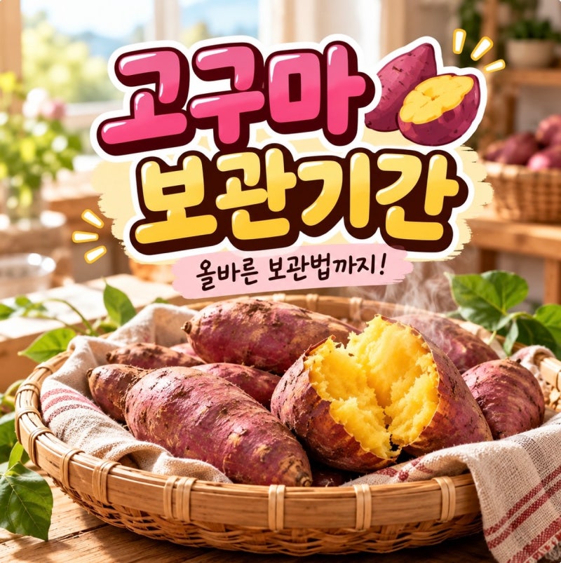 고구마 보관방법, 보관기간 실온 냉장 냉동 어디가 좋을까?