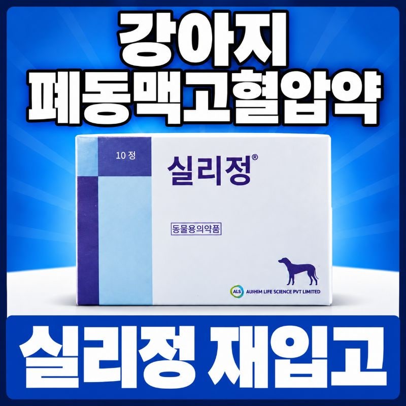 강아지 폐동맥고혈압약 실리정 재입고 북광주동물약국/정약국