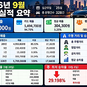 [택시블로그 EP.18] 법인택시 ->카카오 가맹 개인택시 1개월차 매출 및 비용