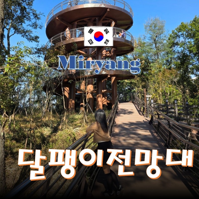 밀양 가을 여행 추천 밀양 관광지 용두산 생태공원 달팽이전망대 주차 정보