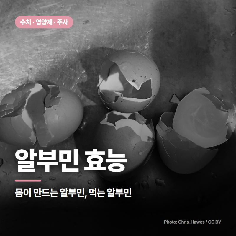 알부민 효능, 간이 하루 10.5g 만드는 단백질 :: 수치 영양제 주사