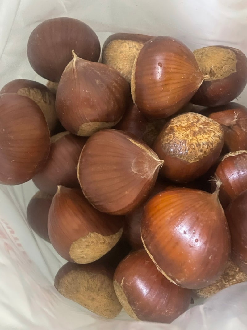 햇밤 맛있게 찌는 방법｜찬물에 30분 담갔다가 포슬포슬 찐밤