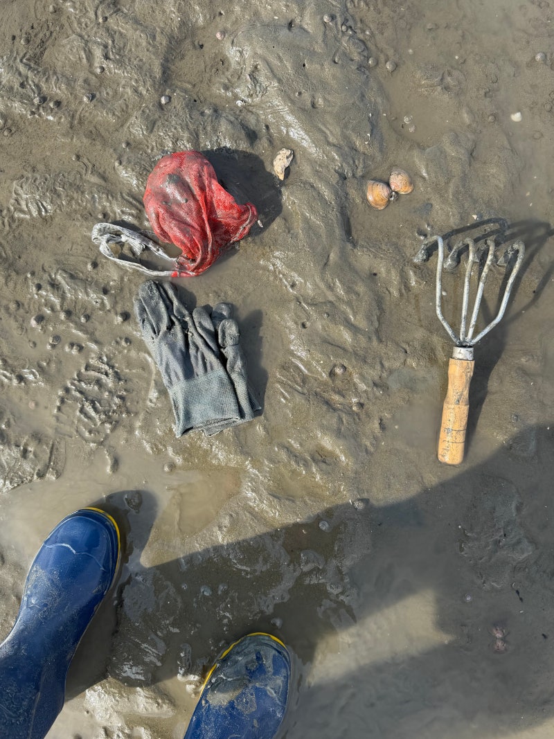 [Yeongjongdo Must-Visit] Is it Okay to Go Alone to Mashian Tidal Flat Experience? Clam Digging Preparation