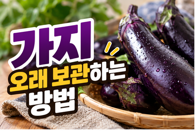 가지 오래 보관하는 방법