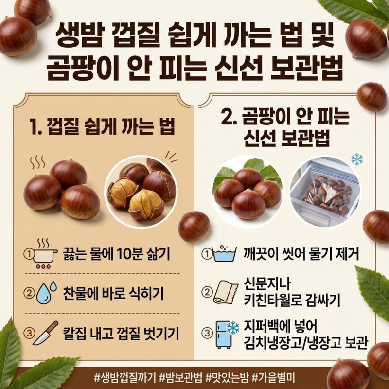 생밤 껍질 쉽게 까는 법 및 곰팡이 안 피는 신선 보관법