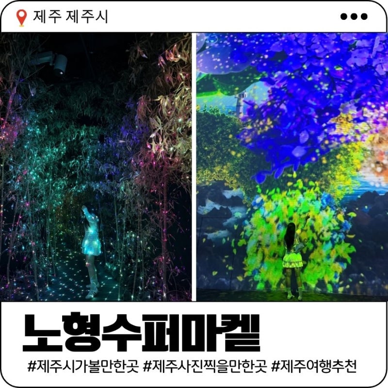 제주시 가볼만한곳 | 노형수퍼마켙 - 비오는날 제주 실내여행코스 추천