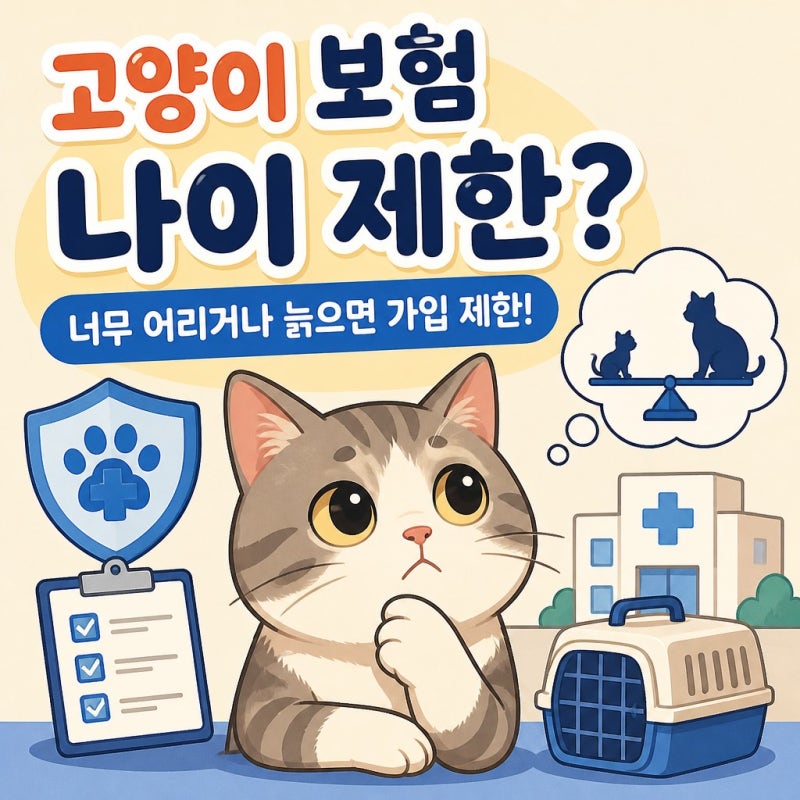 고양이펫보험 가입 전 확인할 것, 나이 제한과 보장 범위까지