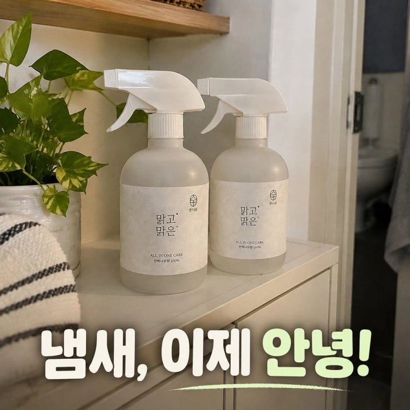 온다숲 맑고맑은 고체 탈취제 1+1 화장실 담배 남자 방 냄새 제거 꿀템