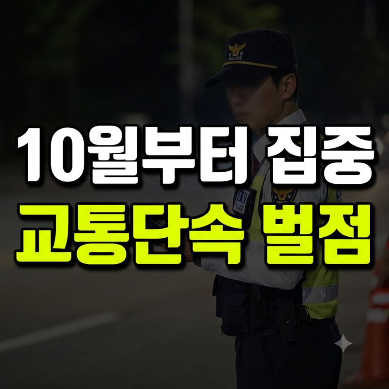 10월부터 강화되는 교통단속, 방향지시등·안전띠 벌점 10점 신설 핵심 정리