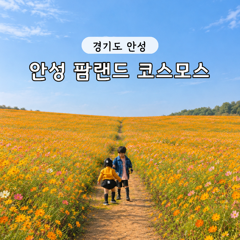 안성팜랜드 황화코스모스 축제 입장권 할인 핑크뮬리 카트 도시락 놀이기구 정보 준비물 리....