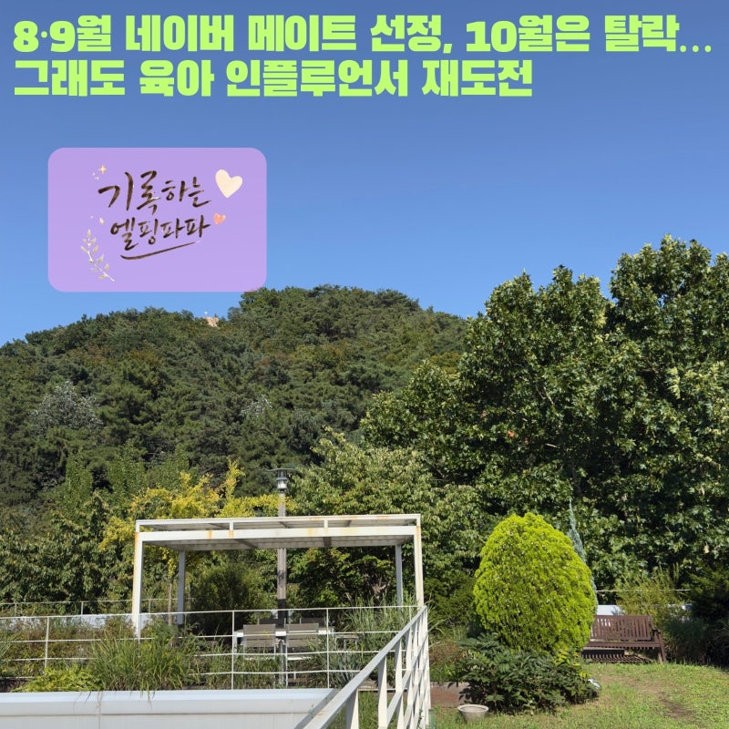 8·9월 네이버 메이트 선정, 10월은 탈락… 그래도 육아 인플루언서 재도전