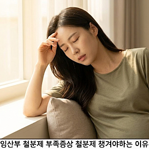 임산부 철분 부족 증상, 철분제 먹어야하는 이유와 변비해결 방법