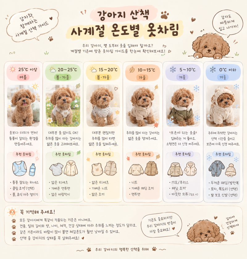 강아지 산책, 몇 도부터 옷을 입혀야 할까? 사계절 온도별 옷차림