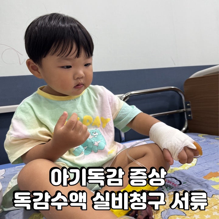 유아 A형 독감 증상 페라미플루 비용 실비 보험서류