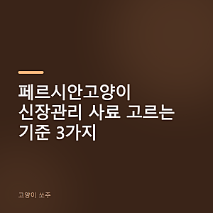 페르시안고양이 신장관리 사료 고르는 기준 3가지