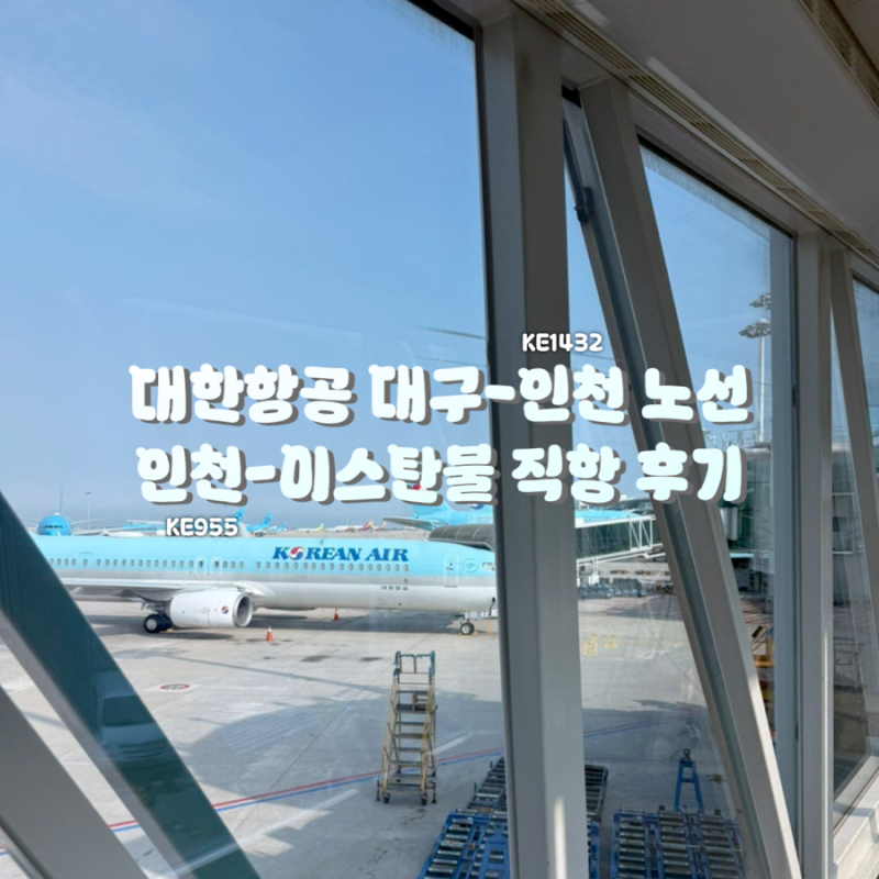 [국제선환승/이스탄불] KE1432 대구-인천 국제선 환승 / KE955 인천-이스탄불 대한항공 직항 후기