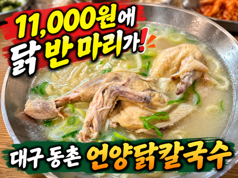 대구 동구 칼국수 맛집 언양닭칼국수｜닭 반 마리가 통째로! 파크골프 후 든든한 맛점