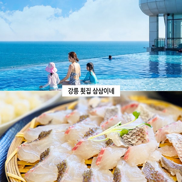 강릉 횟집 경포대 맛집 추천 경포해변 물회 스카이베이호텔 회포장