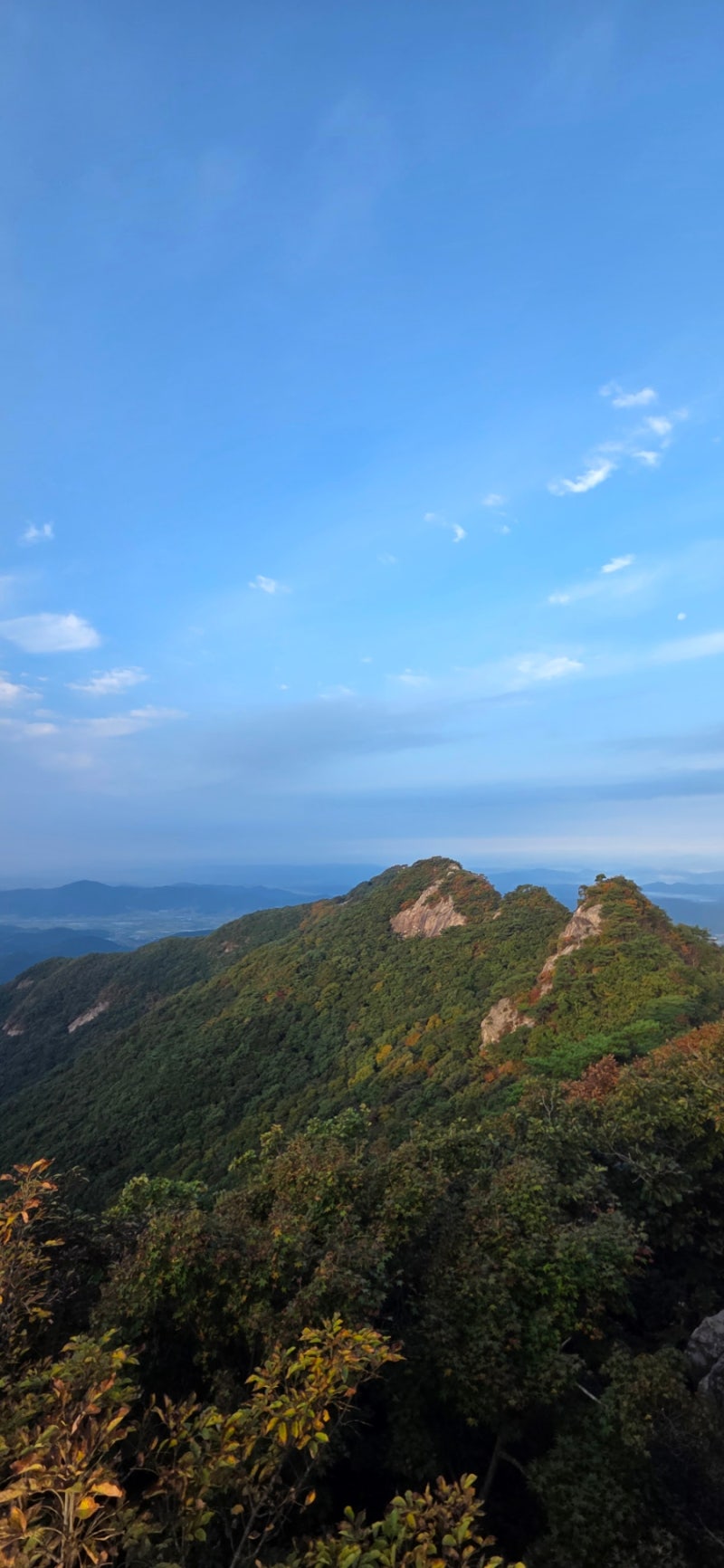 「계룡산 등산코스 추천｜동학사~은선폭포~관음봉 단풍 산행, 거리·시간·난이도 총정리」