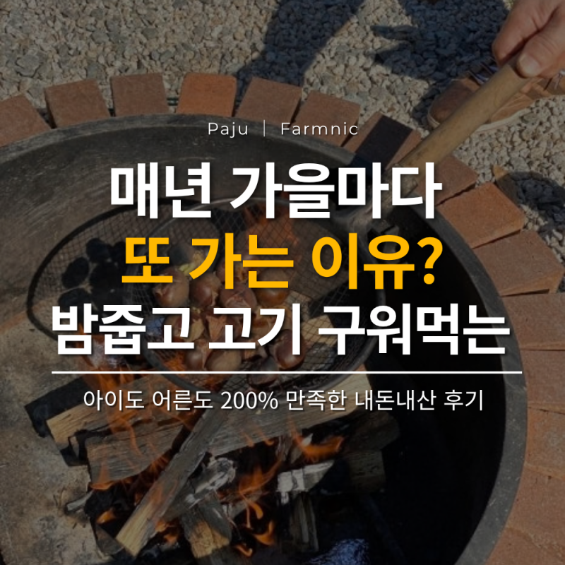 헤이리농원 밤줍기 2026｜파주 아이와 가볼만한곳, 솥뚜껑 바비큐까지 내돈내산