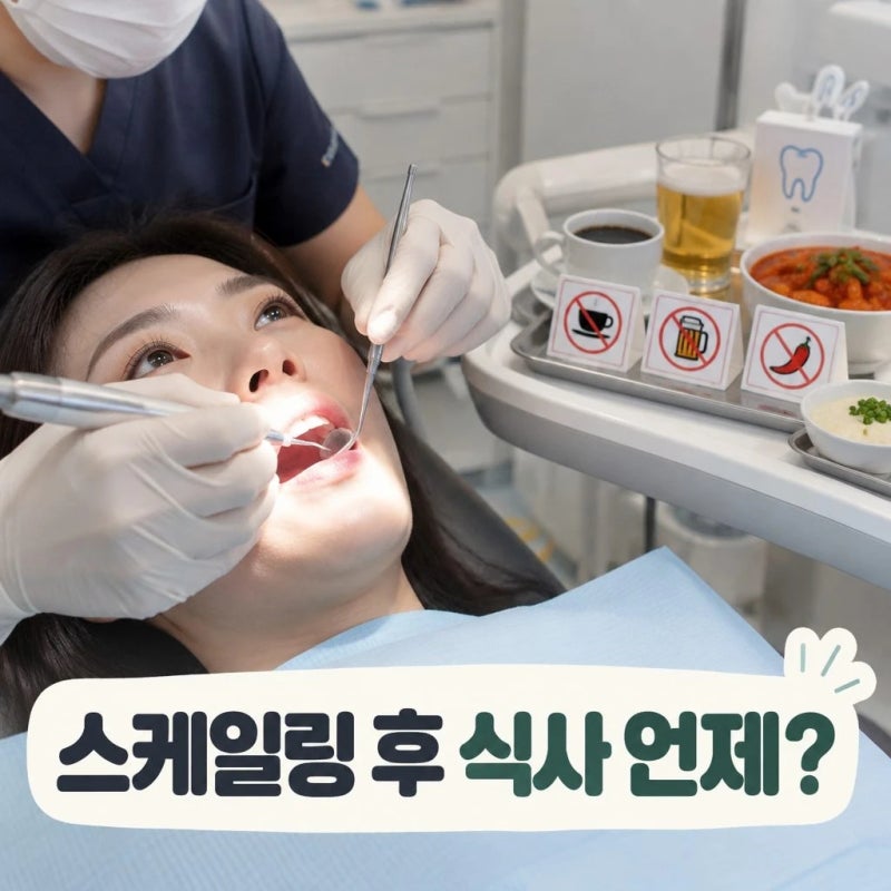 스케일링 후 식사 언제부터?｜커피·술·매운 음식 주의사항 총정리