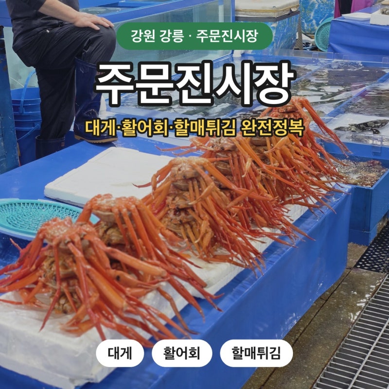 강릉 주문진시장 대게·활어회·할매튀김 완전정복