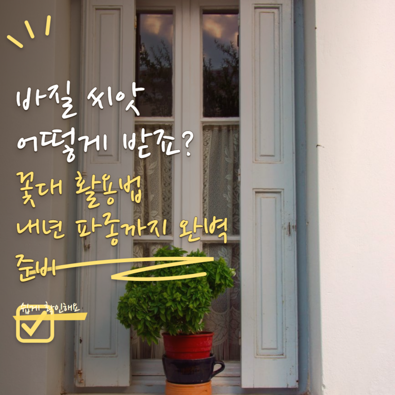 바질 씨앗 받는법 어렵지 않아요! 꽃대에서 내년 파종용 씨앗 만드는 방법